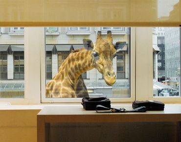 Sticker pour fenêtres - Curious Giraffe