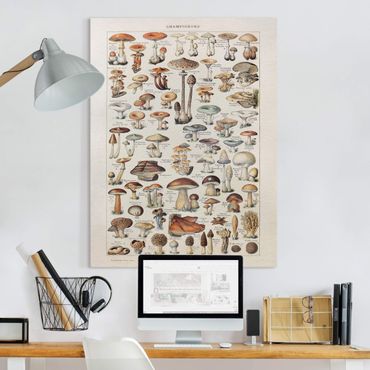 Impression sur toile - Vintage Board Mushrooms
