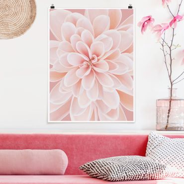 Poster - Dahlia In Pastel Pink