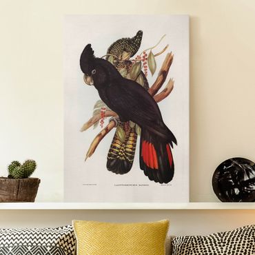 Impression sur toile - Vintage Illustration Black Cockatoo Black Gold