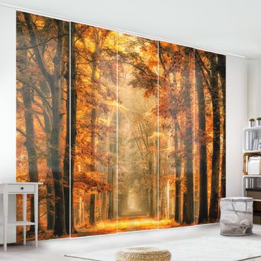 Set de panneaux coulissants - Enchanted Forest In Autumn
