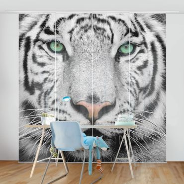 Set de panneaux coulissants - White Tiger