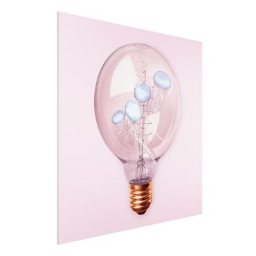 Impression sur forex - Light Bulb With Jellyfish