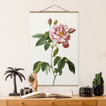 Tableau en tissu avec porte-affiche - Pierre Joseph Redoute - Pink Gallica Rose