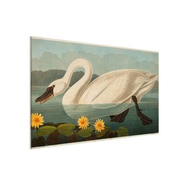 Tableau magnétique - Vintage Board American Swan