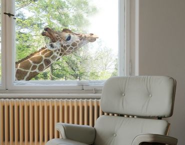Sticker pour fenêtres - Searching giraffe