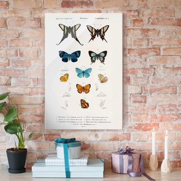 Tableau en verre - Vintage Board Butterflies I