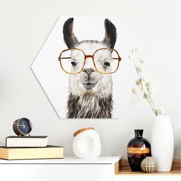 Hexagone en forex - Hip Lama With Glasses IV