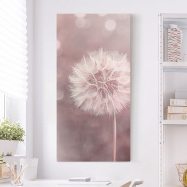 Impression sur toile - Dandelion Bokeh Light Pink