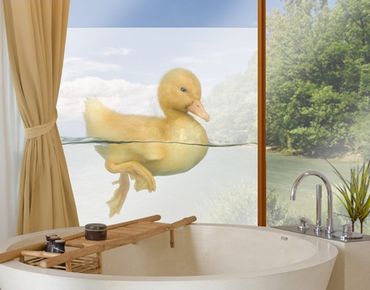 Sticker pour fenêtres - Duckling III