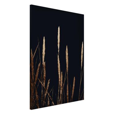 Tableau magnétique - Graphical Plant World - Golden Reed