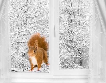 Sticker pour fenêtres - Squirrels II