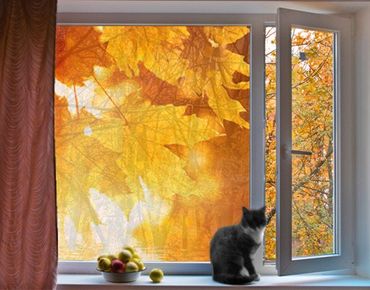 Décoration pour fenêtres - Autumn