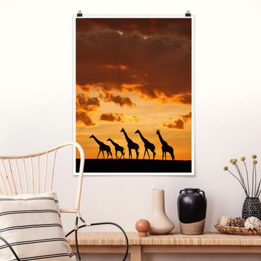 Poster animaux - Five Giraffes