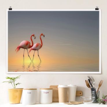 Poster - Flamingo Love