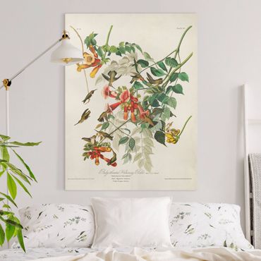 Impression sur toile - Vintage Board Hummingbirds