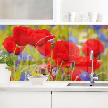 Revêtement mural cuisine - Summer Meadow With Poppies And Cornflowers