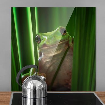 Fond de hotte - Happy Frog