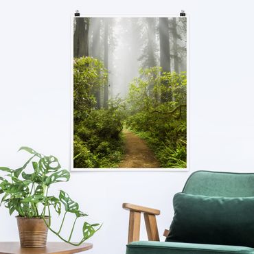 Poster forêt - Misty Forest Path