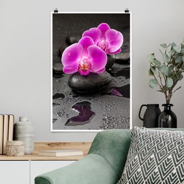Poster - Pink Orchid Flower On Stones With Drops