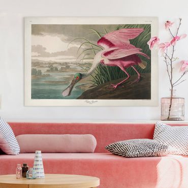 Impression sur toile - Vintage Board Pink Sturgeon