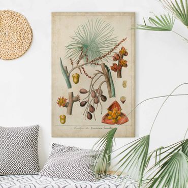 Impression sur toile - Vintage Board Exotic Palms III