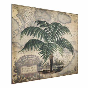 Impression sur aluminium - Vintage Collage - Palm And World Map