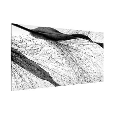 Tableau magnétique - Delicate Reed With Subtle Buds Black And White