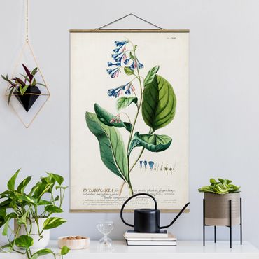 Tableau en tissu avec porte-affiche - Vintage Botanical Illustration Lungwort