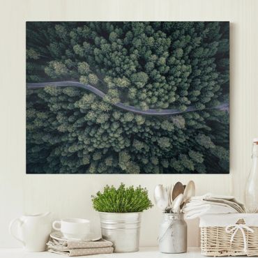 Impression sur toile - Aerial View - Forest Road From The Top