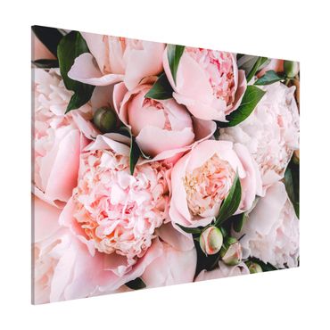 Tableau magnétique - Pink Peonies With Leaves