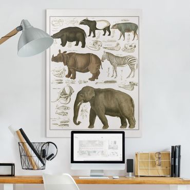Impression sur toile - Vintage Board Elephant, Zebra And Rhino