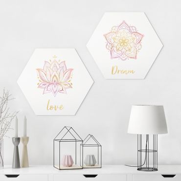 Hexagone en forex - Mandala Dream Love Set Gold Pink
