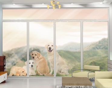 Sticker pour fenêtres - Portait of labradors and golden retriever