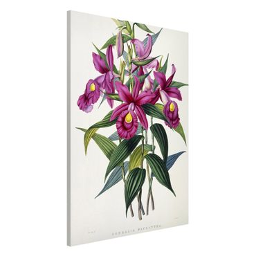 Tableau magnétique - Maxim Gauci - Orchid I