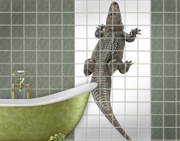 Sticker pour carrelage - The Crocodile Back