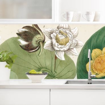 Revêtement mural cuisine - Vintage Board White Water-Lily