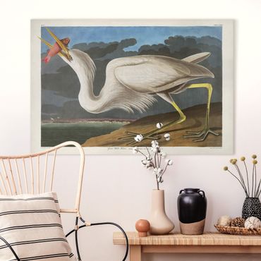 Impression sur toile - Vintage Board Great White Egret
