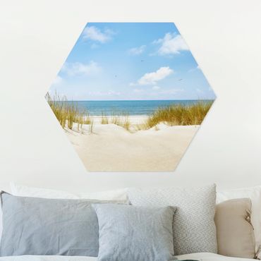 Hexagone en forex - Beach On The North Sea