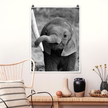 Poster animaux - Baby Elephant