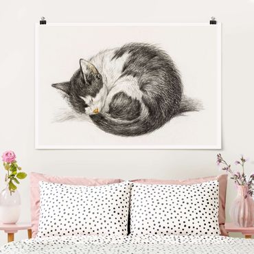 Poster - Vintage Drawing Cat II
