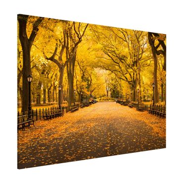 Tableau magnétique - Autumn In Central Park