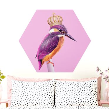 Hexagone en alu Dibond - Pink Kingfisher With Crown