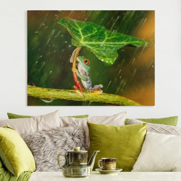 Impression sur toile - Frog In The Rain