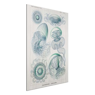 Impression sur aluminium - Vintage Board Jellyfish In Blue