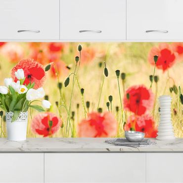 Revêtement mural cuisine - Summer Poppies