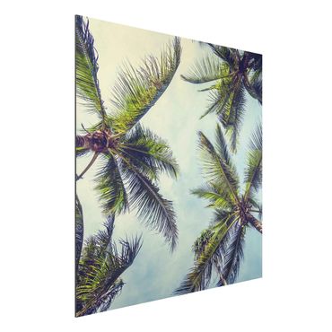 Tableau sur aluminium - The Palm Trees
