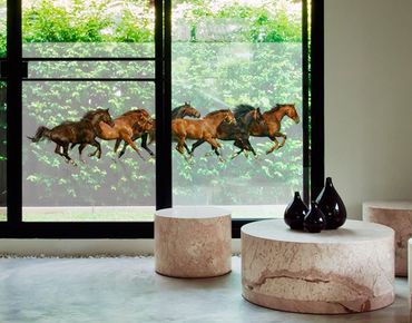 Décoration pour fenêtres - Horse Herd