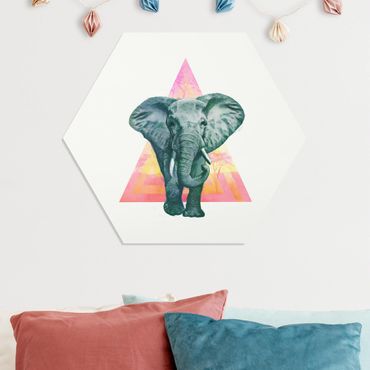 Hexagone en forex - Illustration Elephant Front Triangle Painting