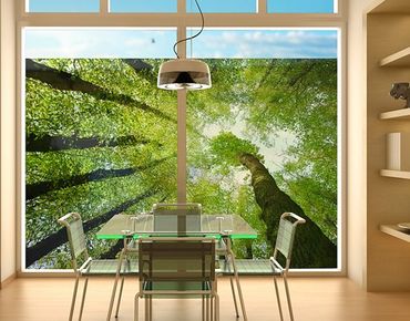 Décoration pour fenêtres - Trees Of Life